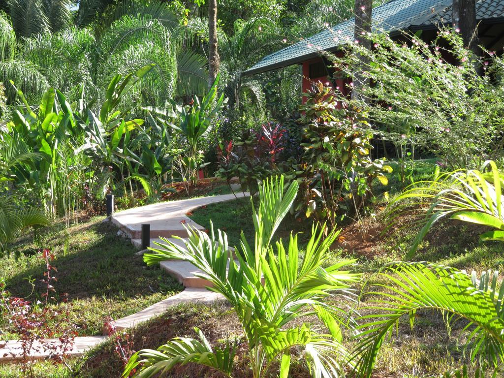 Oasis De Las Palmas Ojochal Exterior photo